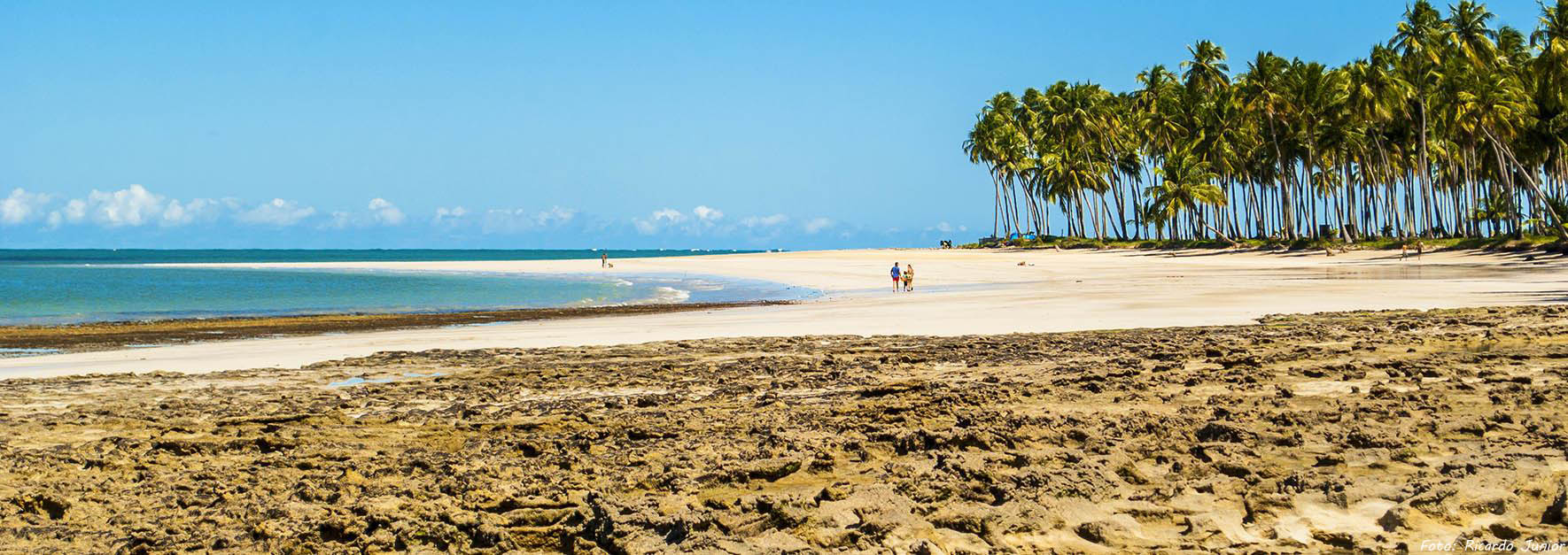 Tamandaré: águas límpidas e cristalinas, repletas de recifes de corais coloridos